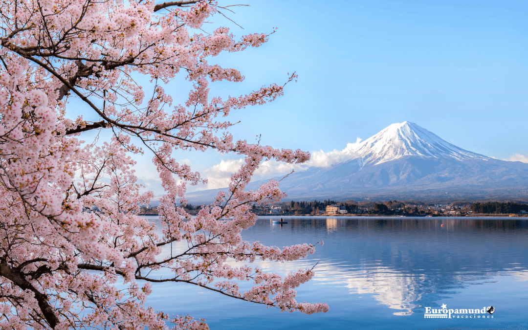 ¡Destinos tendencia 2025!